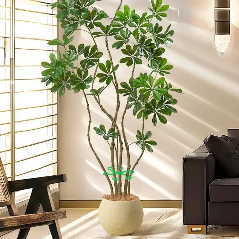 4PCS/Set Turtle Back Bamboo Support Fixator Plant Stem Support Clips Horticultural Plant Hydroponic Tree Branch Fixation
4PCS/Set Turtle Back Bamboo Support Fixator Plant Stem Support Clips Horticultural Plant Hydroponic Tree Branch Fixation