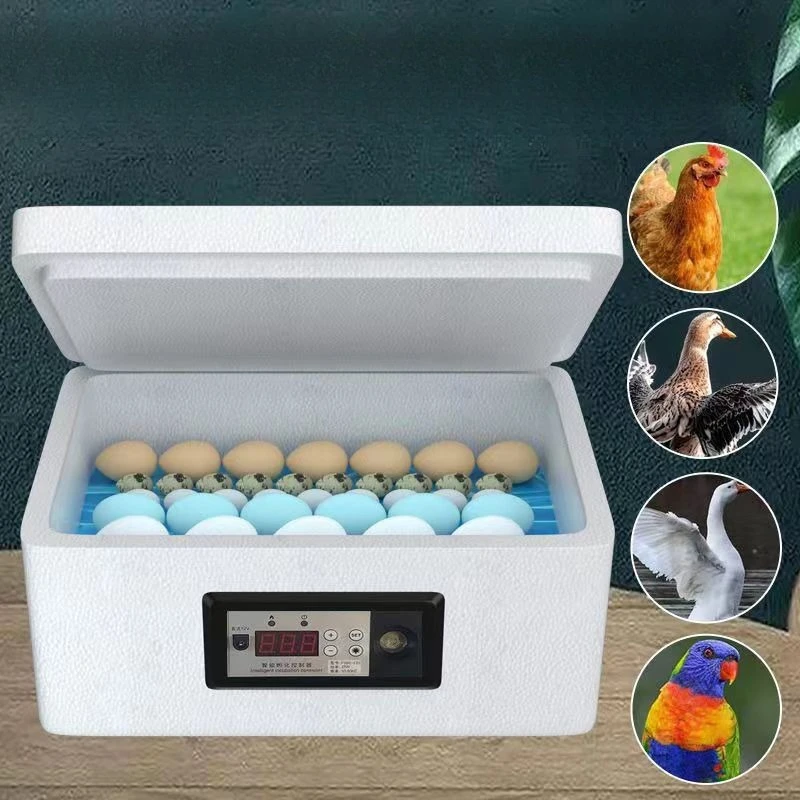 Smart Waterbed Chick Hatcher Box Quail Hatch Chicken Duck Goose Foam Egg Incubator Poultry Incubator Chicken Hatching Box Cages
Smart Waterbed Chick Hatcher Box Quail Hatch Chicken Duck Goose Foam Egg Incubator Poultry Incubator Chicken Hatching Box Cages