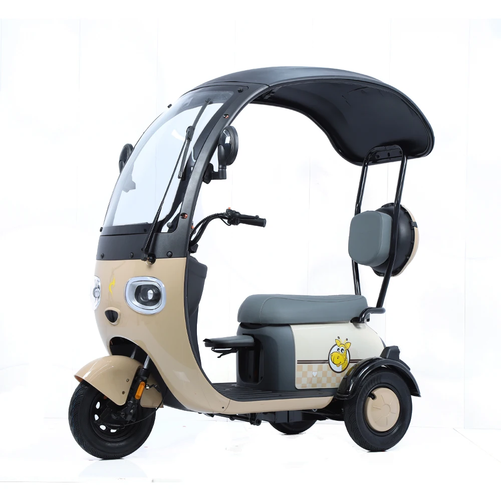Wholesale 800W Pure Copper Motor 48V 20AH Electric Tricycle With Shed Loveliness Multipurpose Electric Tricycle
Wholesale 800W Pure Copper Motor 48V 20AH Electric Tricycle With Shed Loveliness Multipurpose Electric Tricycle