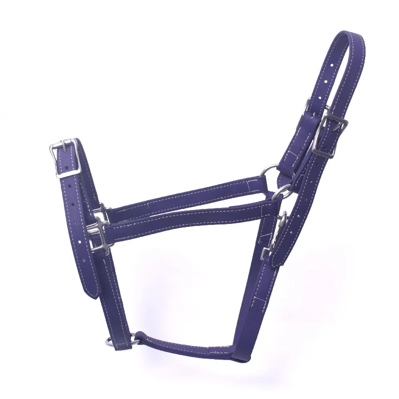 Fancy Horse Headstalls and Head Collar Lightweight Design Adjustable Nylon Halter Perfect for Night Riding Safety
Fancy Horse Headstalls and Head Collar Lightweight Design Adjustable Nylon Halter Perfect for Night Riding Safety