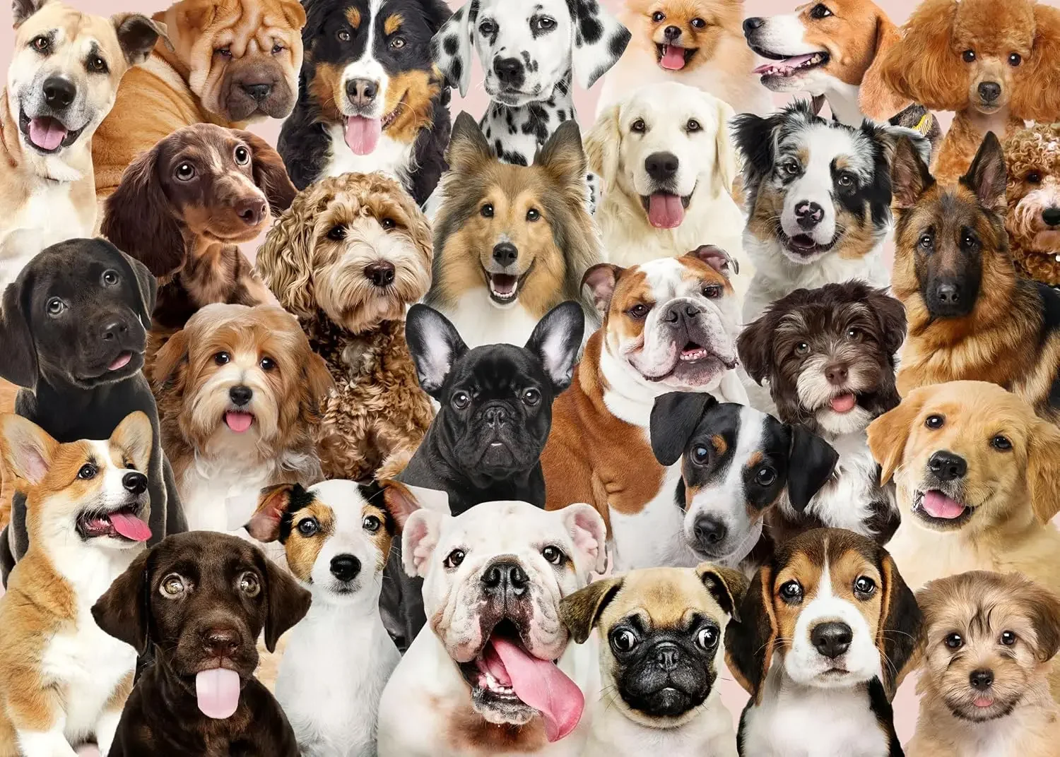 Dog 1000/500/300 Pieces Jigsaw Puzzles Challenging Family Activity Games for Gameroom Bedroom Livingroom Birthday Gifts
Dog 1000/500/300 Pieces Jigsaw Puzzles Challenging Family Activity Games for Gameroom Bedroom Livingroom Birthday Gifts