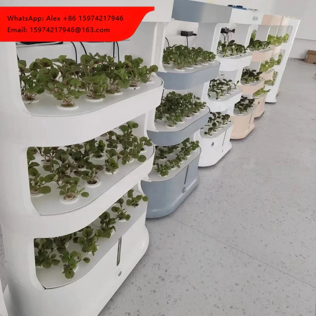High Quality Indoor Hydroponic Growth System
High Quality Indoor Hydroponic Growth System