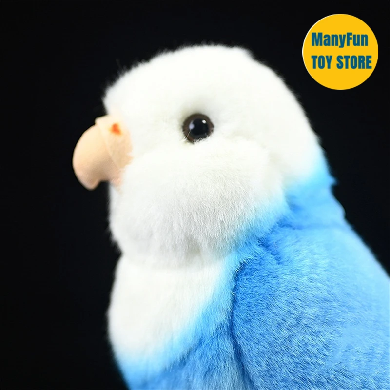 Realistic Blue Peony Parrot High Fidelity Lovebird Plushie Lifelike Budgie Bird Stuffed Animal Simulation Kid Toy For Collectors
Realistic Blue Peony Parrot High Fidelity Lovebird Plushie Lifelike Budgie Bird Stuffed Animal Simulation Kid Toy For Collectors