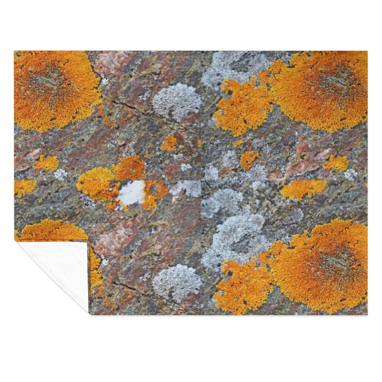 Wreck Island Lichen On Rock Throw Blanket Blankets Sofas Of Decoration For Decorative Sofa Flannel Fabric Camping Blankets
Wreck Island Lichen On Rock Throw Blanket Blankets Sofas Of Decoration For Decorative Sofa Flannel Fabric Camping Blankets