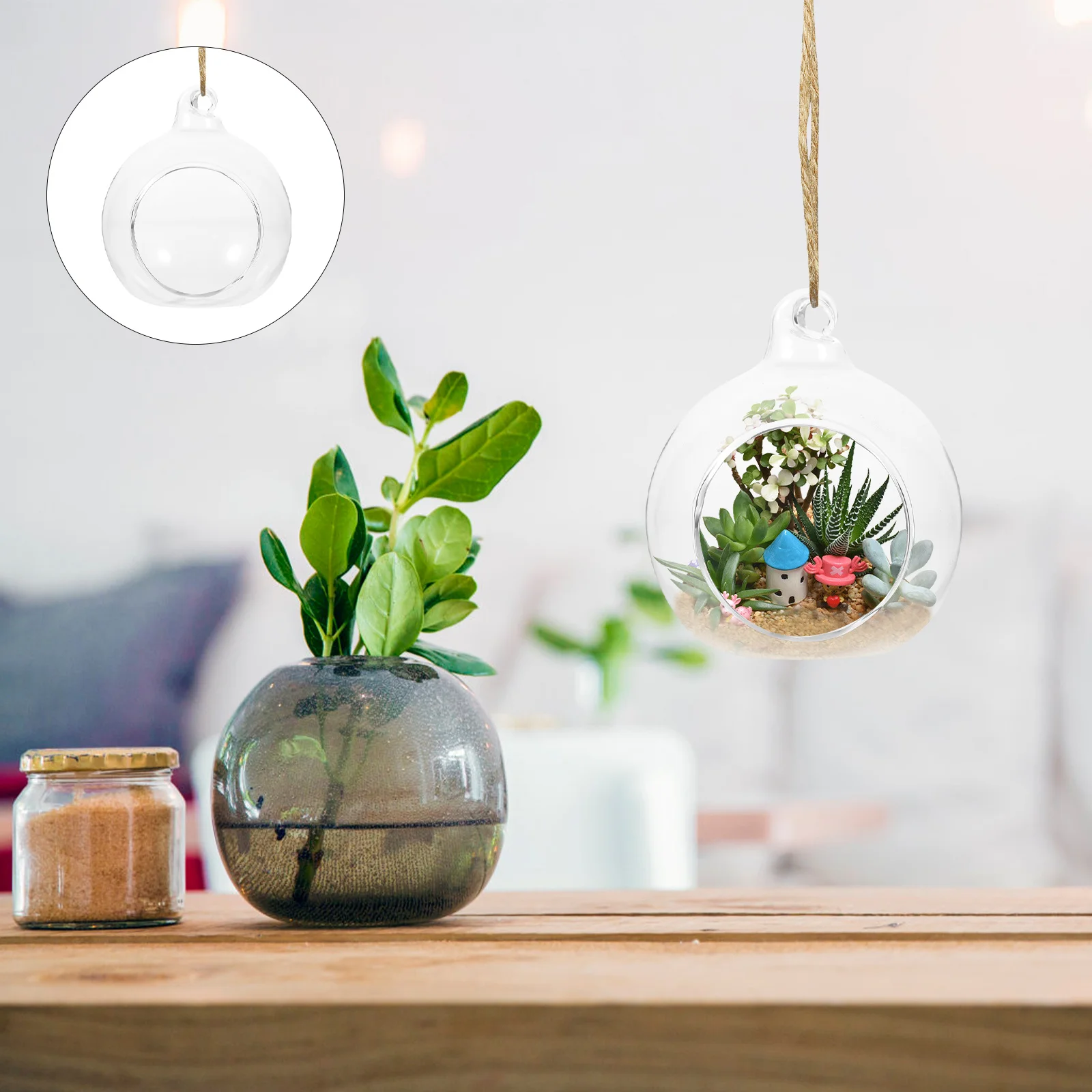 6Pcs Hanging Glass Vases Transparent Hydroponic Plant Containers Micro Landscape Holders Wall Desk Decoration Hydroponic Vases 
6Pcs Hanging Glass Vases Transparent Hydroponic Plant Containers Micro Landscape Holders Wall Desk Decoration Hydroponic Vases