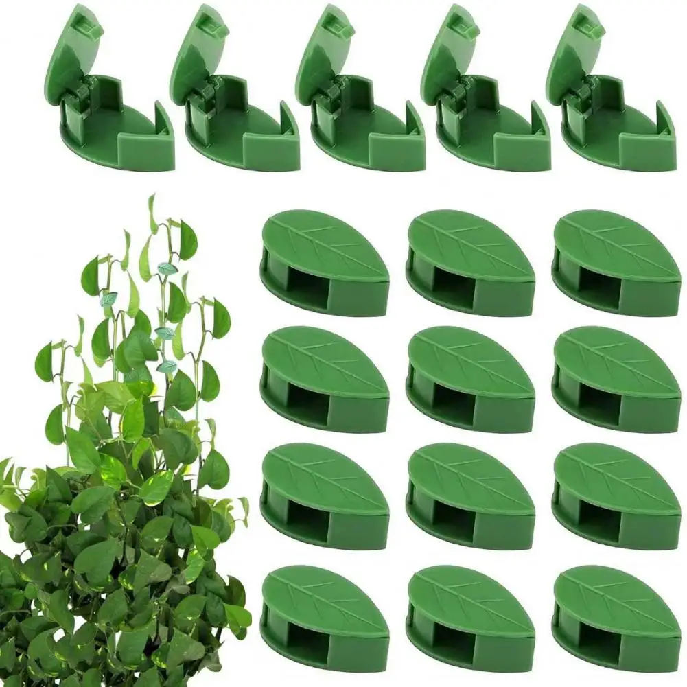 30Pcs Plant Clips for Climbing Plants Leaf-Shaped Plant Fixer with Glue Tape Hanging Plant Tools Plants Wall Fixture Clip
30Pcs Plant Clips for Climbing Plants Leaf-Shaped Plant Fixer with Glue Tape Hanging Plant Tools Plants Wall Fixture Clip