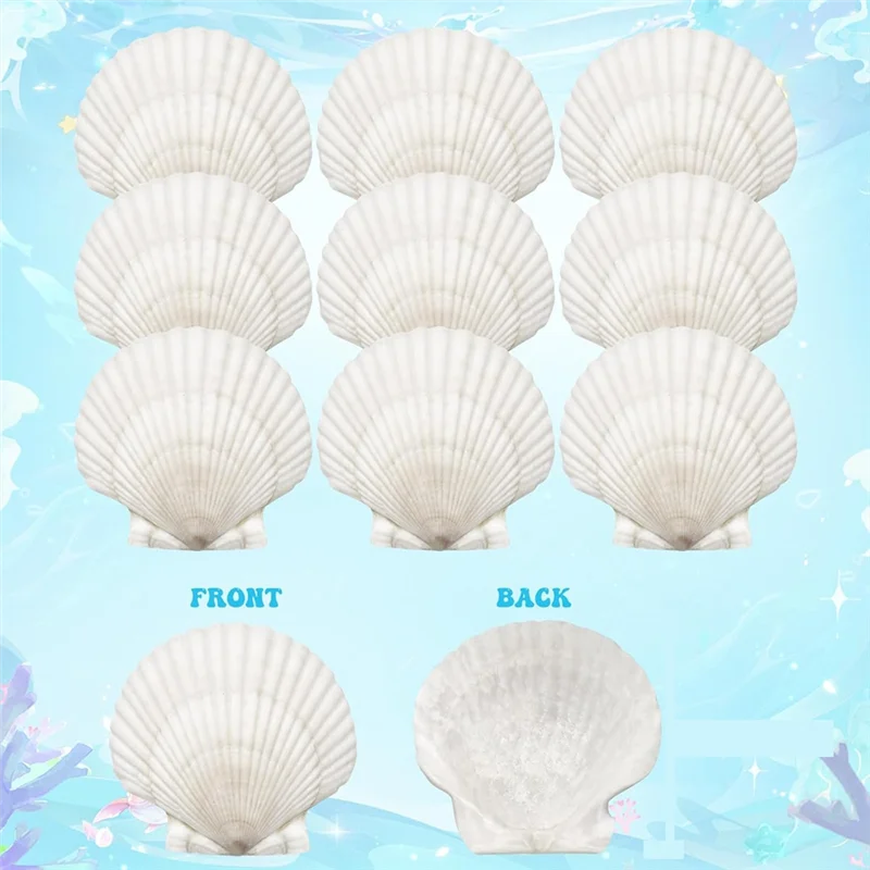 -A90P 25 шт. большие ракушки с гребешком для поделок 4 "-5" белые ракушки с гребешком поделки DIY живопись украшение для пляжной вечеринки
-A90P 25 шт. большие ракушки с гребешком для поделок 4 "-5" белые ракушки с гребешком поделки DIY живопись украшение для пляжной вечеринки