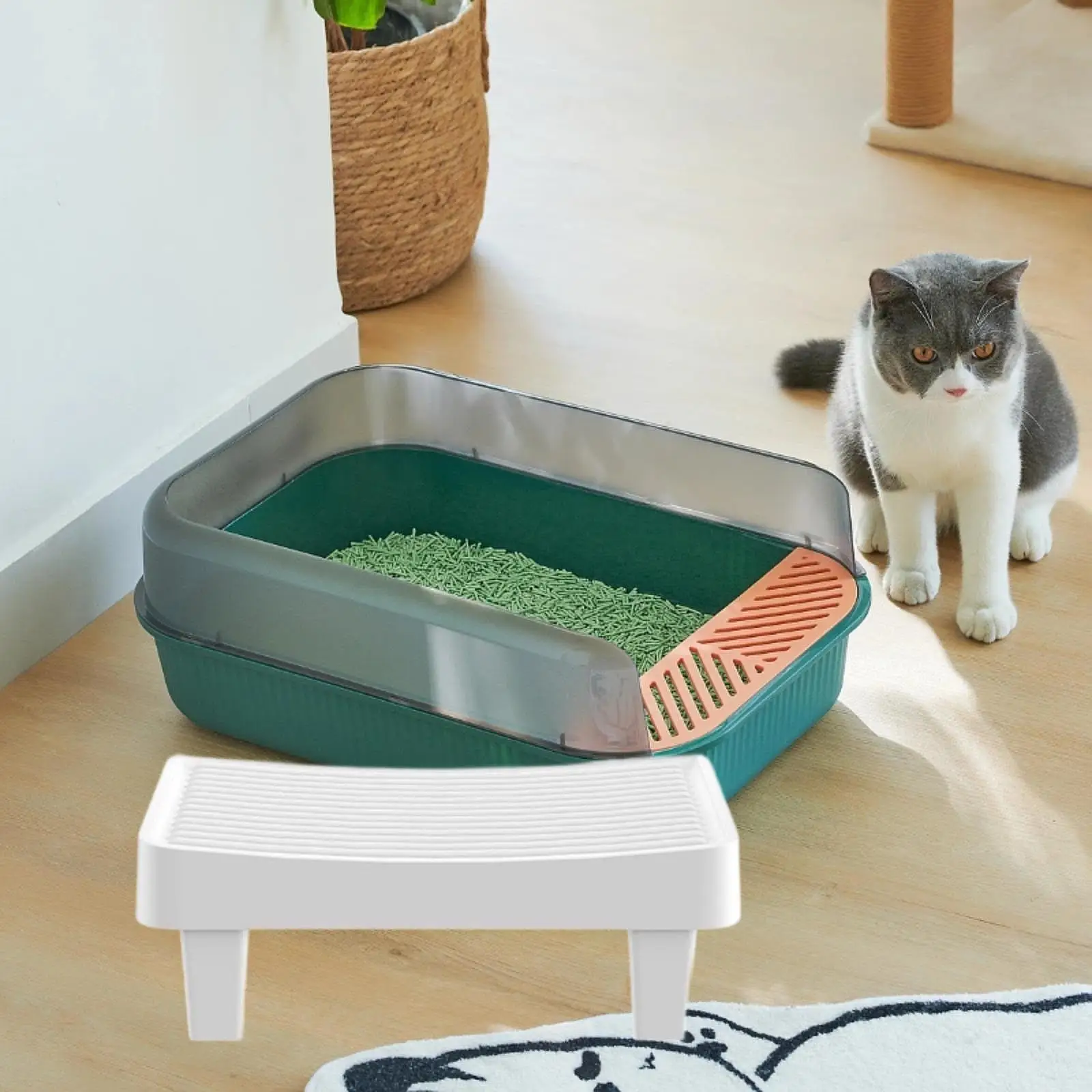Cat Litter Mat Kitty Litter Mat with Raised Edge Trapping Litter Mat for Indoor Cats Bedroom Pet Supply Living Room Lavatory 
Cat Litter Mat Kitty Litter Mat with Raised Edge Trapping Litter Mat for Indoor Cats Bedroom Pet Supply Living Room Lavatory