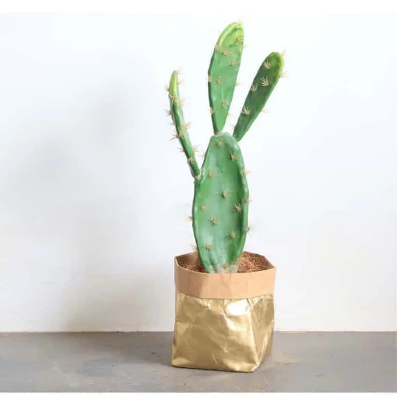 45-60CM Artificial Cactus Succulent Plant With Ears Fake Cactu Green Plants Garden Christmas Home Decoration
45-60CM Artificial Cactus Succulent Plant With Ears Fake Cactu Green Plants Garden Christmas Home Decoration