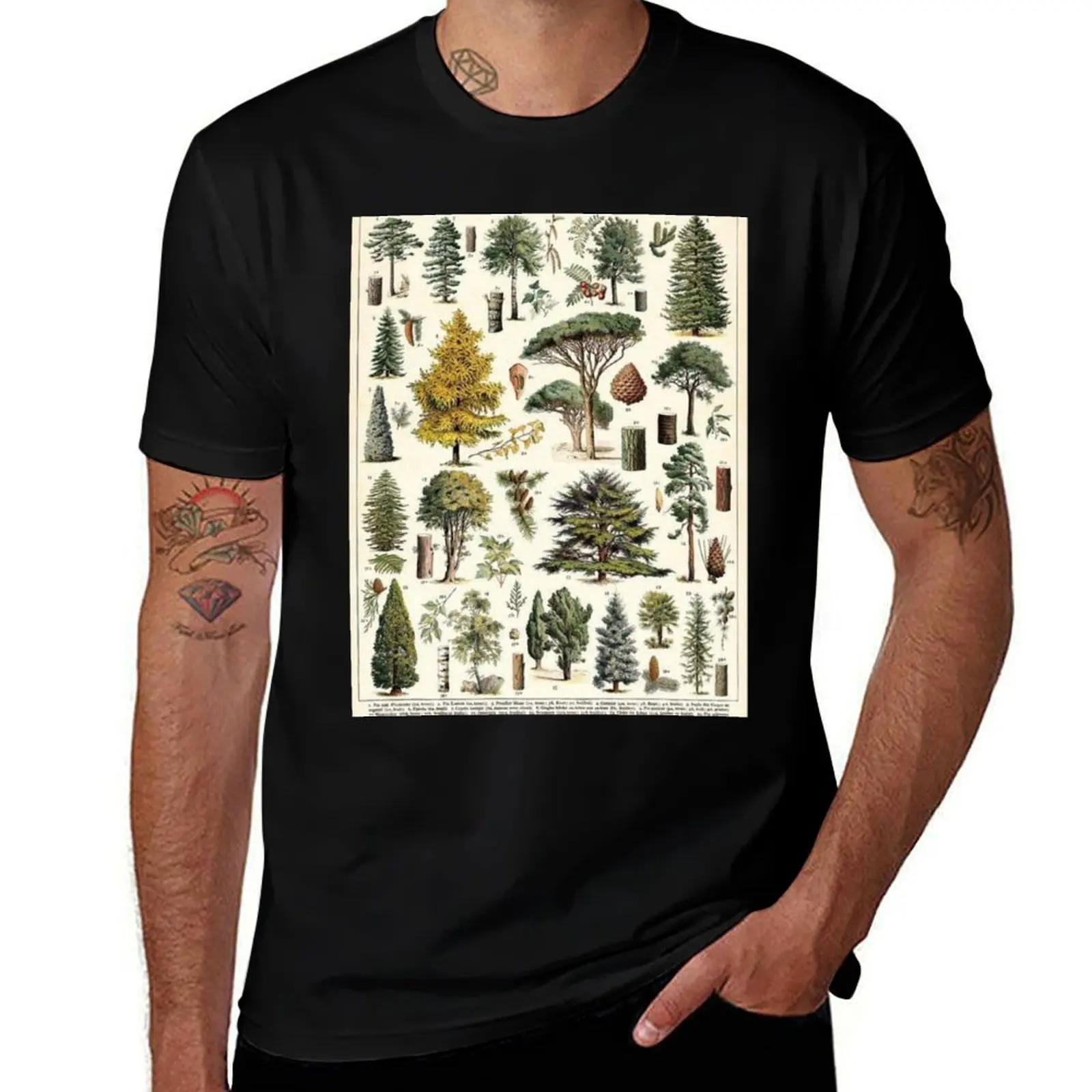 Tree Species T-Shirt men t shirt cotton 100% anime t shirts for man t shirts for man cotton soft T-shirt
Tree Species T-Shirt men t shirt cotton 100% anime t shirts for man t shirts for man cotton soft T-shirt