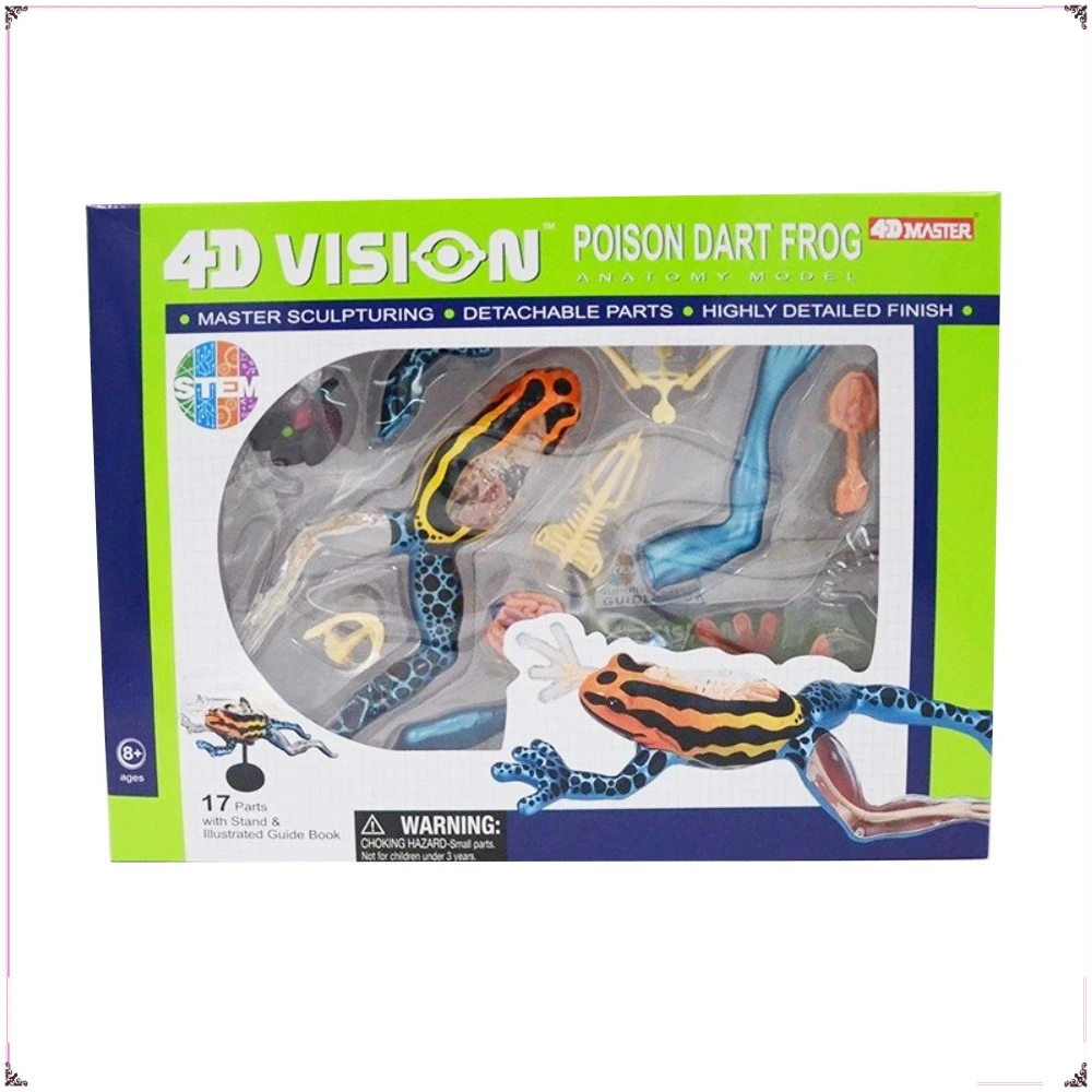4D MASTER Poisondartfrog Assembly Model Frog Bone and Internal Organ Anatomy Toy Decorative Ornaments Holiday Gifts Wholesale
4D MASTER Poisondartfrog Assembly Model Frog Bone and Internal Organ Anatomy Toy Decorative Ornaments Holiday Gifts Wholesale