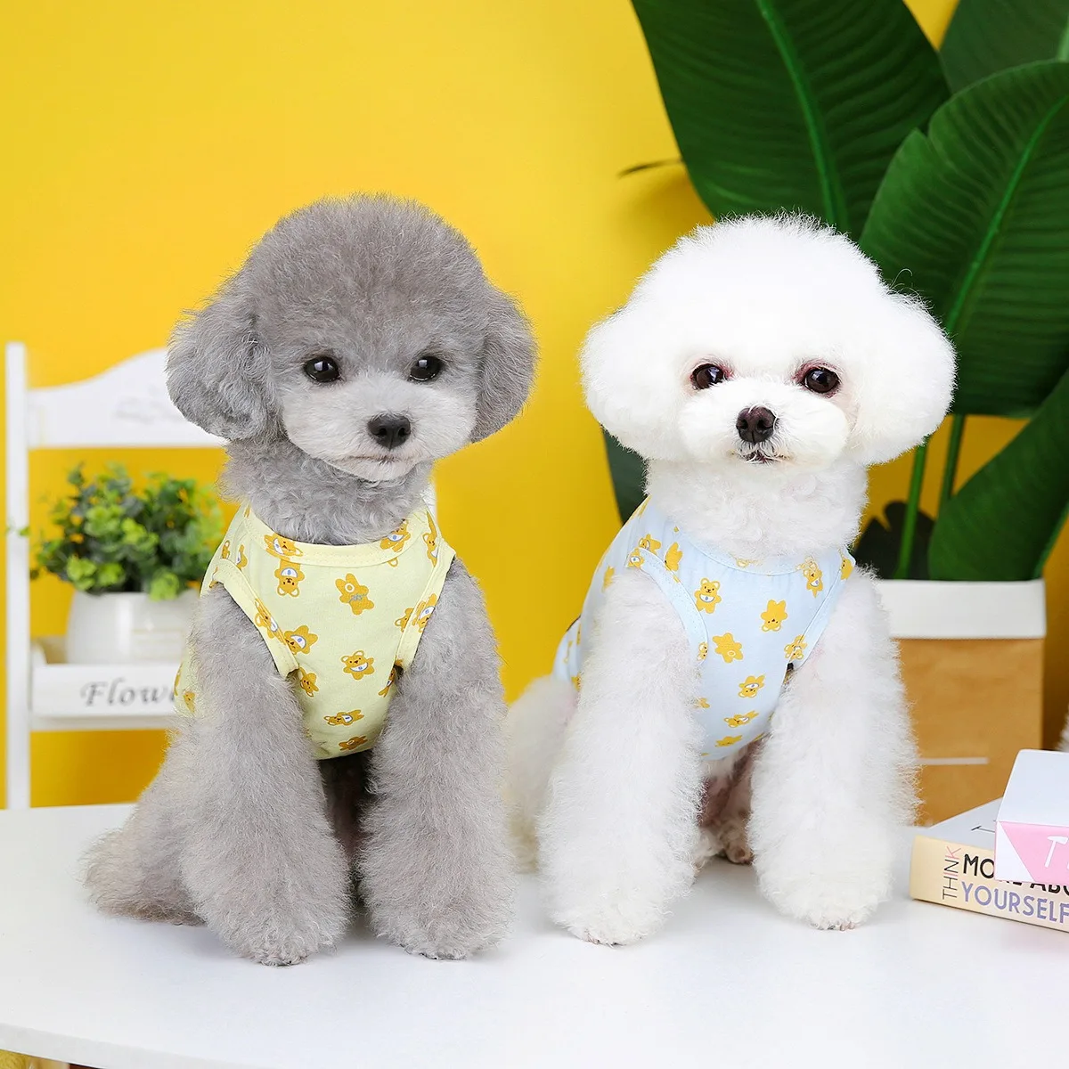 Teddy Pullover Full Print Bear Vest Pet Summer Two-legged Clothes Schnauzer Cartoon T-shirt Small Dog Birthday Gift
Teddy Pullover Full Print Bear Vest Pet Summer Two-legged Clothes Schnauzer Cartoon T-shirt Small Dog Birthday Gift