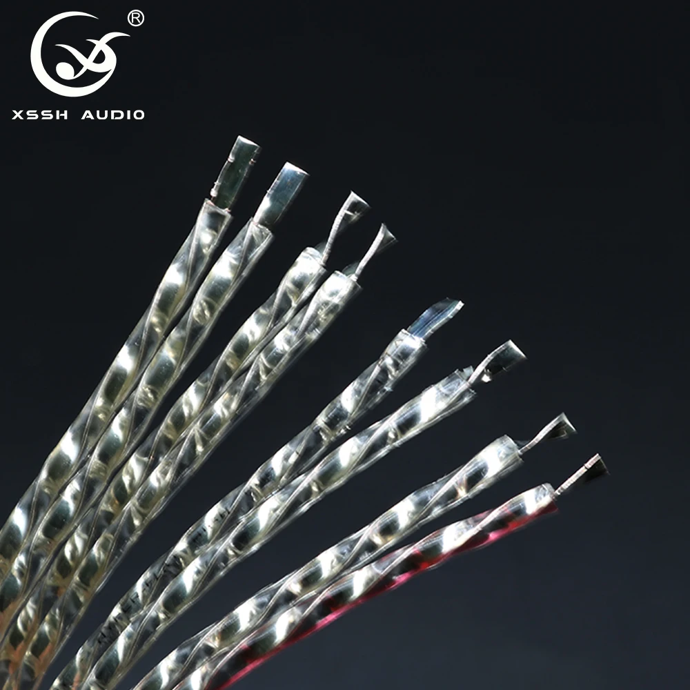 YIVO Audio SP-108FS HiFi 8 Core Flat Speaker Cable Pure Silver Plated Copper Lossless Bulk Wire 25*3MM Audiophile Sound Line
YIVO Audio SP-108FS HiFi 8 Core Flat Speaker Cable Pure Silver Plated Copper Lossless Bulk Wire 25*3MM Audiophile Sound Line