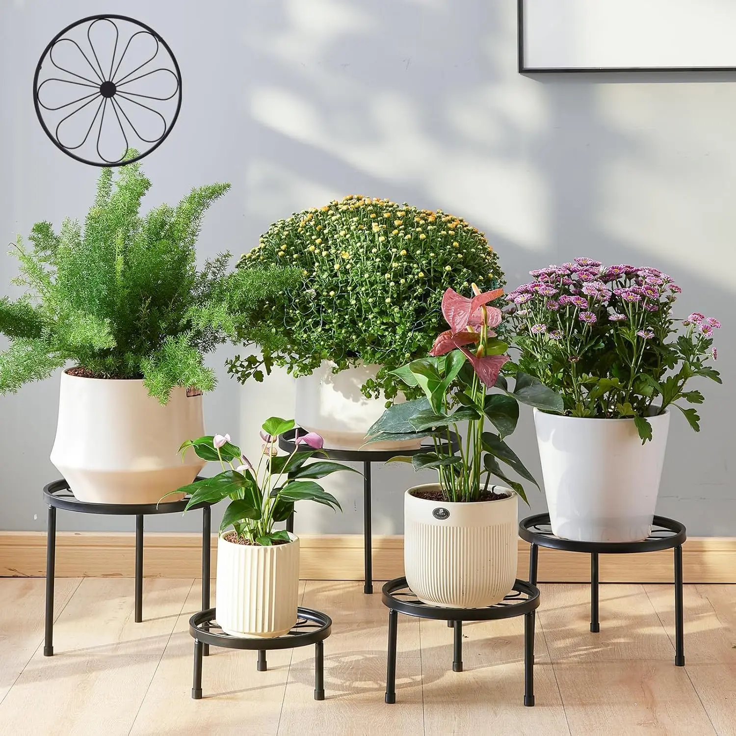 Plant Stand,5 Pack Heavy Duty Flower Pot Stands,Metal Decoration Racks,Round Plant Shelf for Planter Outdoor and indoor (Black)
Plant Stand,5 Pack Heavy Duty Flower Pot Stands,Metal Decoration Racks,Round Plant Shelf for Planter Outdoor and indoor (Black)