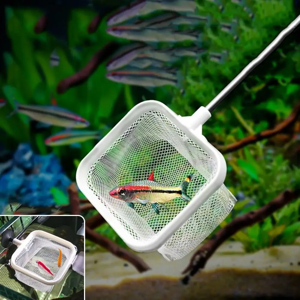 Stainless Steel Aquarium Square Fishing Net Extendable Retractable Fishing Shrimp Net Long Handle Fish Tank Cleaning Net
Stainless Steel Aquarium Square Fishing Net Extendable Retractable Fishing Shrimp Net Long Handle Fish Tank Cleaning Net
