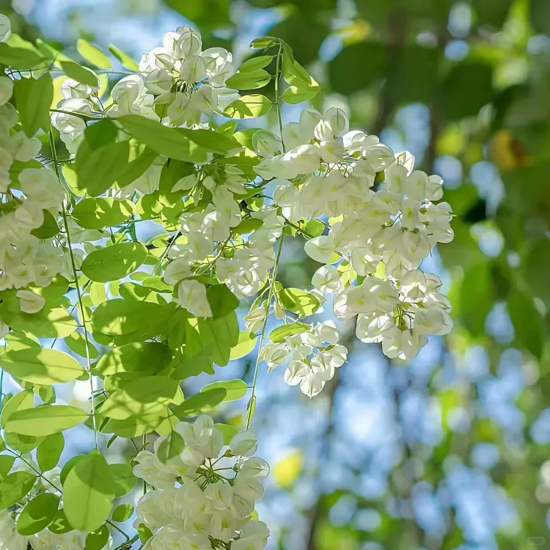 For Land Rover Range Rover Sport 2005-2009 Carplay GPS Navigation Screen Android 13.0 Multimedia Radio Receiver
For Land Rover Range Rover Sport 2005-2009 Carplay GPS Navigation Screen Android 13.0 Multimedia Radio Receiver