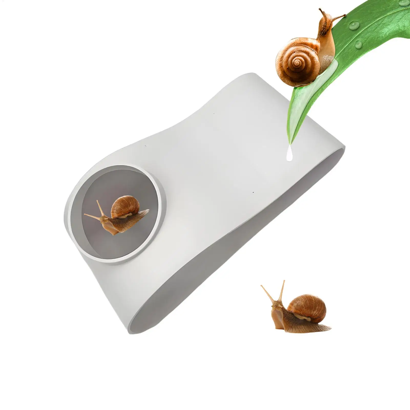 Подземный туннель для аквариума, пещера, аквариум, поддорожное украшение, украшения для аквариума для Kuhli Loach Chili Rasbora
Подземный туннель для аквариума, пещера, аквариум, поддорожное украшение, украшения для аквариума для Kuhli Loach Chili Rasbora