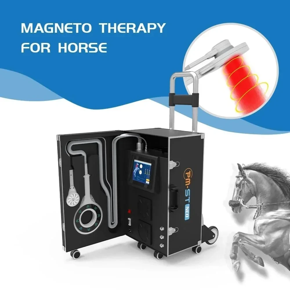 PEMF For Horse Vet Physio Magneto Hofmag Magnetic Field With NIRS Rehabilitation Machine
PEMF For Horse Vet Physio Magneto Hofmag Magnetic Field With NIRS Rehabilitation Machine