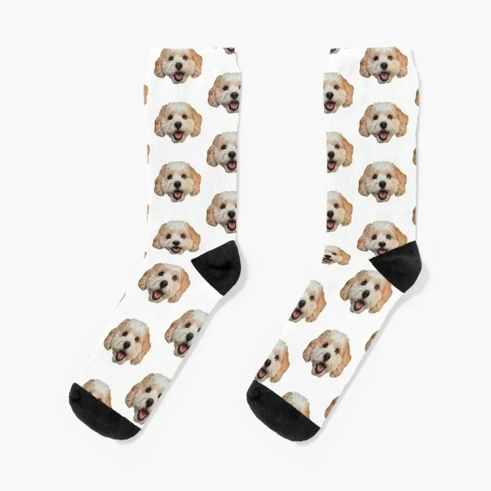 Daisy Butler Socks bright garter Thermal man winter fashionable warm winter Women Socks Men's
Daisy Butler Socks bright garter Thermal man winter fashionable warm winter Women Socks Men's