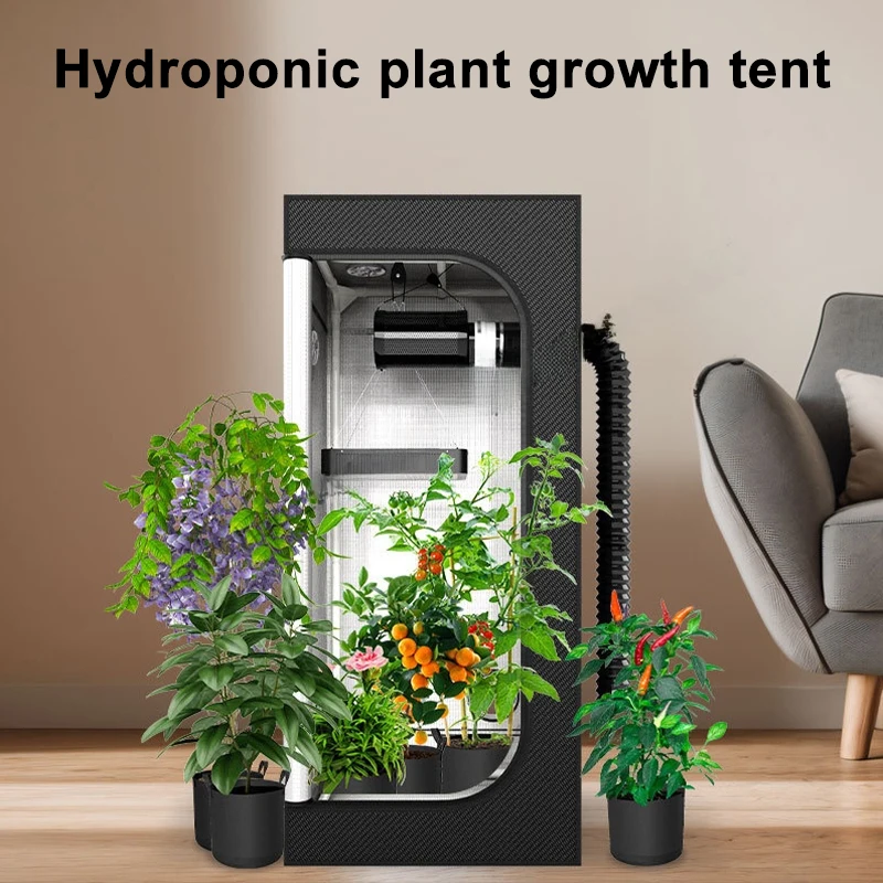 Hydroponic Plant Growth Tent 600D Oxford Cloth Waterproof Greenhouse Growing Tent Cultivation Tent For Growing Flowers & Plants
Hydroponic Plant Growth Tent 600D Oxford Cloth Waterproof Greenhouse Growing Tent Cultivation Tent For Growing Flowers & Plants