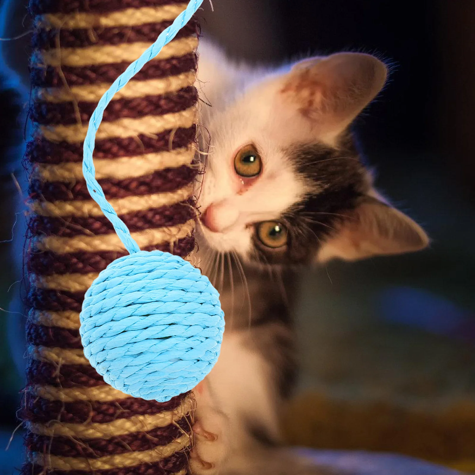 Cat Scratch Column Accessories Durable Paper Rope Replacement Balls Hanging Toy Sisal Scratcher Indoor Cats Play Rest
Cat Scratch Column Accessories Durable Paper Rope Replacement Balls Hanging Toy Sisal Scratcher Indoor Cats Play Rest