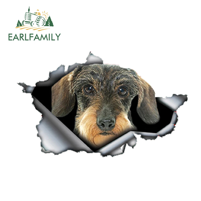 EARLFAMILY 13cm x 8cm Wire Haired Dachshund Car Sticker Torn Metal Decal Reflective Stickers Waterproof Car Styling Accessories
EARLFAMILY 13cm x 8cm Wire Haired Dachshund Car Sticker Torn Metal Decal Reflective Stickers Waterproof Car Styling Accessories