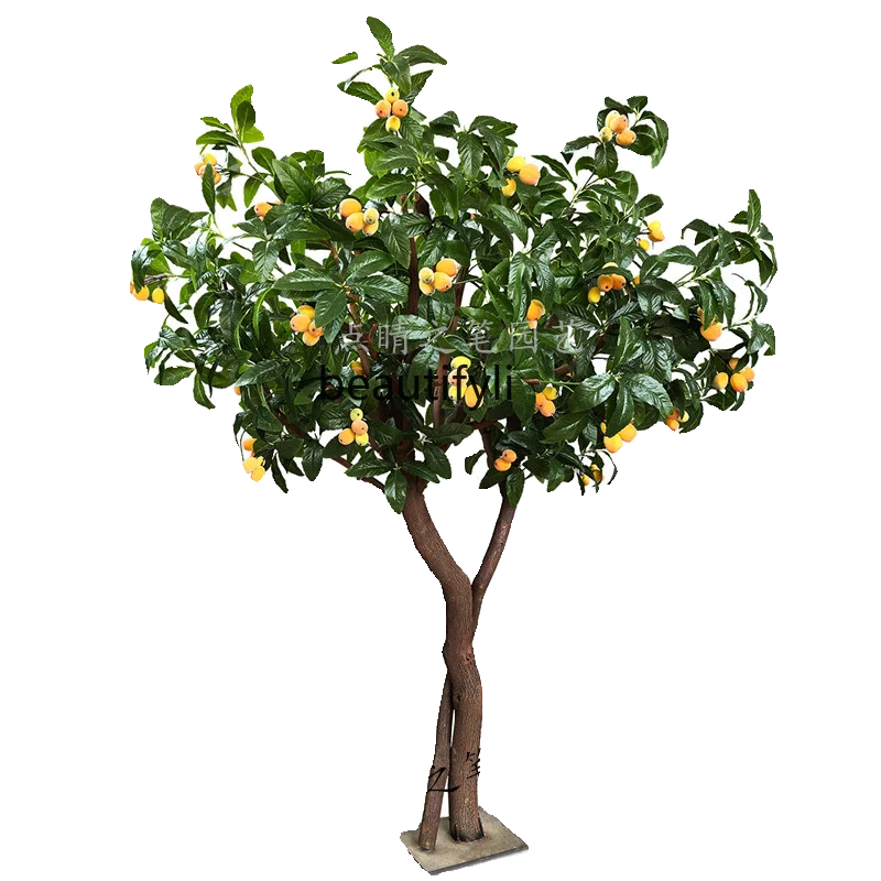 Simulation Loquat Tree Fruit Persimmon Grapefruit Plum Interior Decoration Cloth Landscape Large Floor Gardening
Simulation Loquat Tree Fruit Persimmon Grapefruit Plum Interior Decoration Cloth Landscape Large Floor Gardening