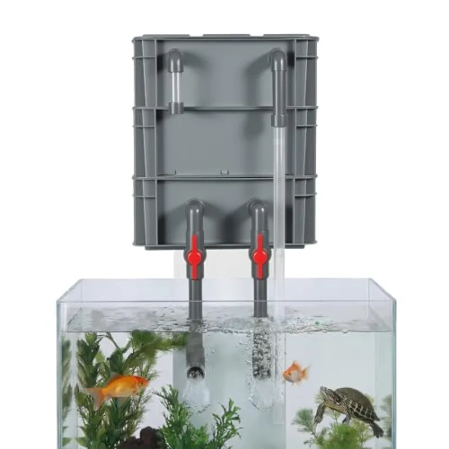 3-Stage Aquarium Filter Box for 20-75 Gallon Tanks, External Drip Trickle System for Fish and Turtles, Professional Grade Biolo
3-Stage Aquarium Filter Box for 20-75 Gallon Tanks, External Drip Trickle System for Fish and Turtles, Professional Grade Biolo