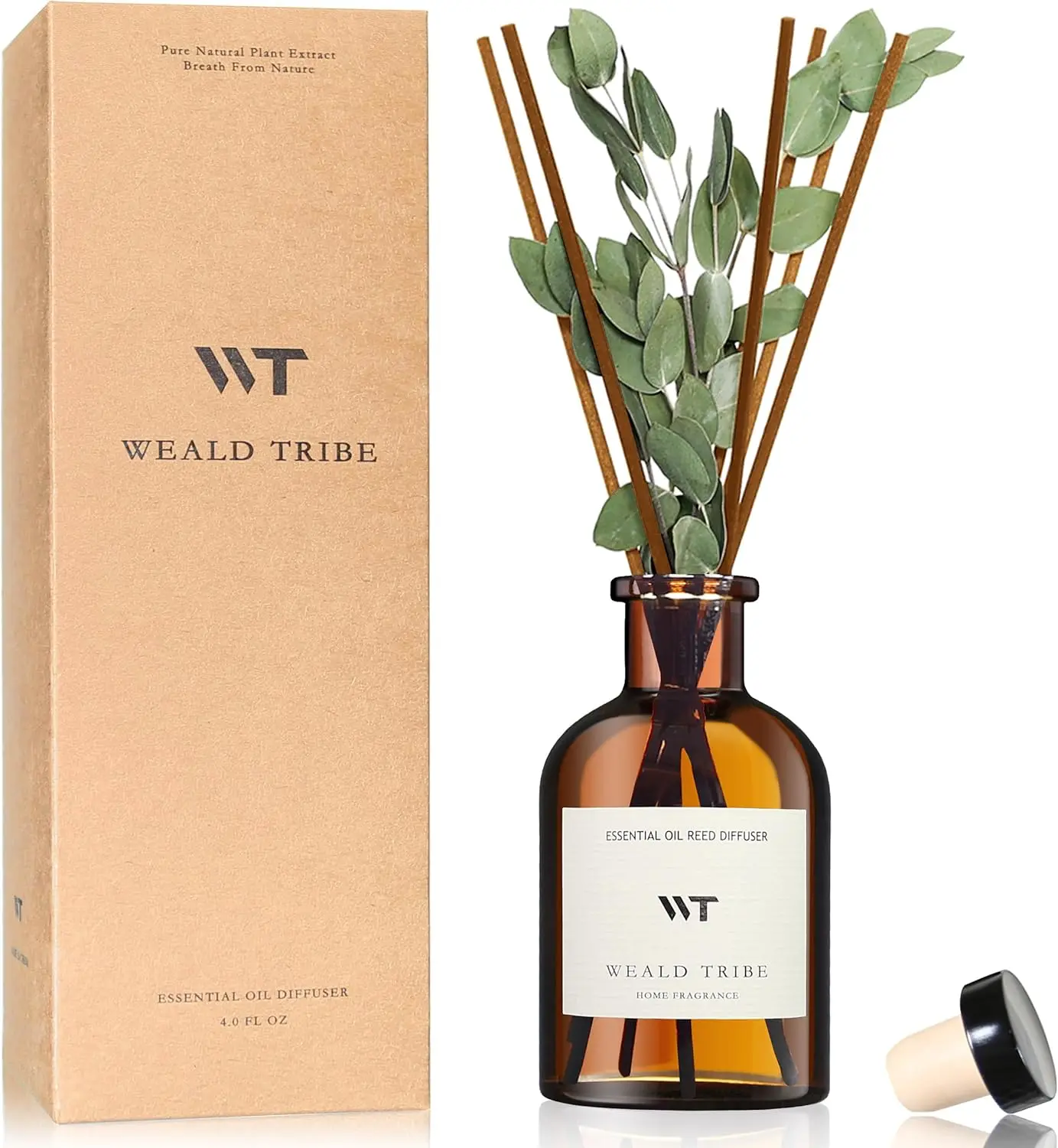 Eucalyptus & Lavender Reed Diffuser Set, 4oz Long-Lasting Home Fragrance, Shelf Decor Gift
Eucalyptus & Lavender Reed Diffuser Set, 4oz Long-Lasting Home Fragrance, Shelf Decor Gift