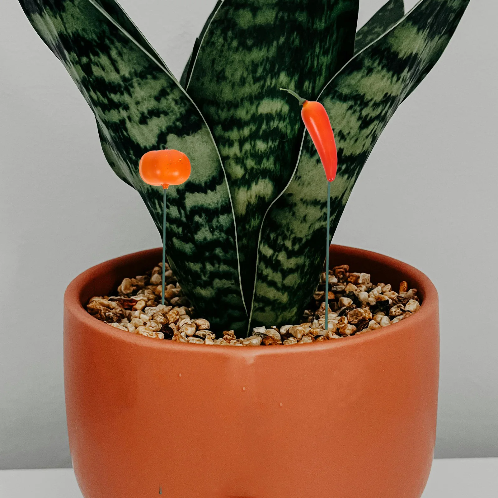 5Pcs Lifelike Food Garden Stakes Artificial Fruit Vegetable Outdoor Planter Decoration Reusable Garden Accessory
5Pcs Lifelike Food Garden Stakes Artificial Fruit Vegetable Outdoor Planter Decoration Reusable Garden Accessory