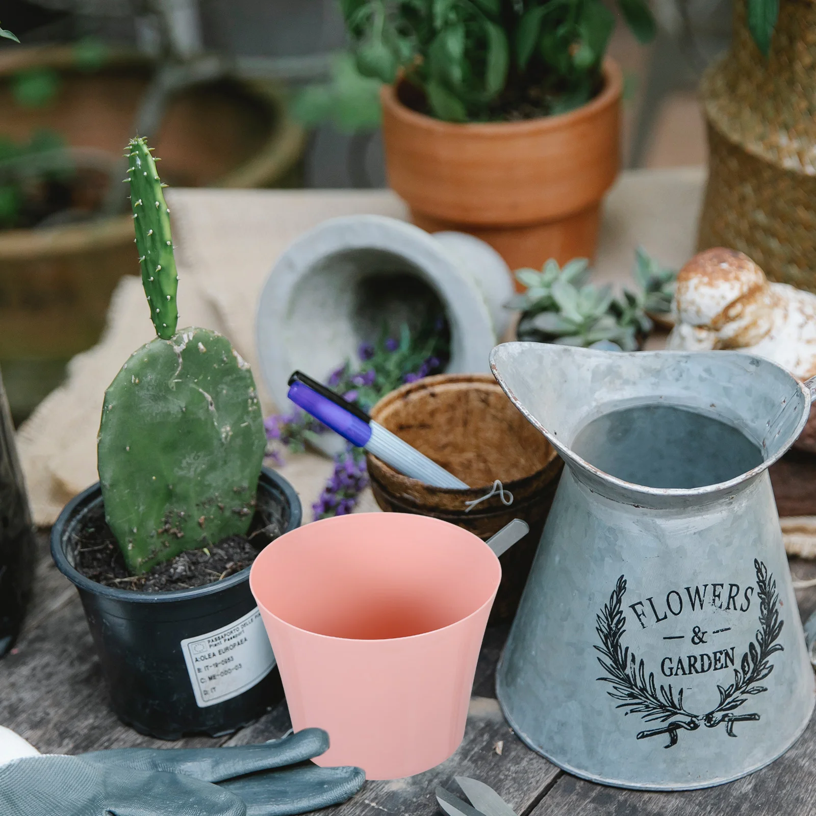 3 Pcs Self Watering Planter Flowerpot Water-absorbent Green Dill Lazy Indoor Plants
3 Pcs Self Watering Planter Flowerpot Water-absorbent Green Dill Lazy Indoor Plants