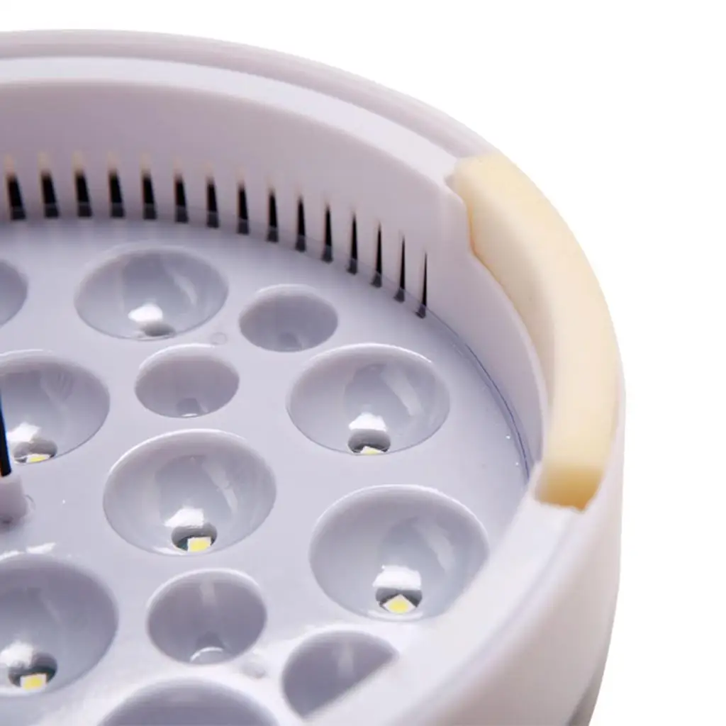 Digital Egg Incubator with Fan and Ceramic Heater Bird Cage Heating Box Brooder for Backyard Chicken Duck
Digital Egg Incubator with Fan and Ceramic Heater Bird Cage Heating Box Brooder for Backyard Chicken Duck