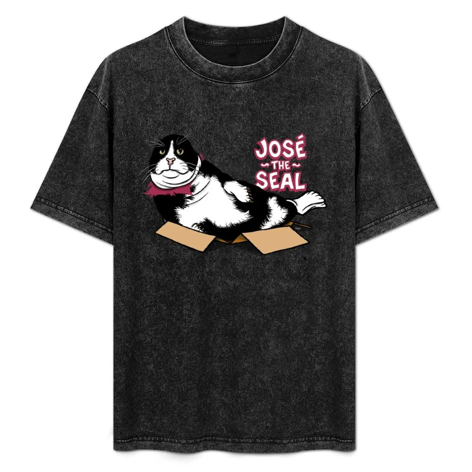 The Dollop: José the Seal T-Shirt Basic All Season Solid T-Shirt
The Dollop: José the Seal T-Shirt Basic All Season Solid T-Shirt