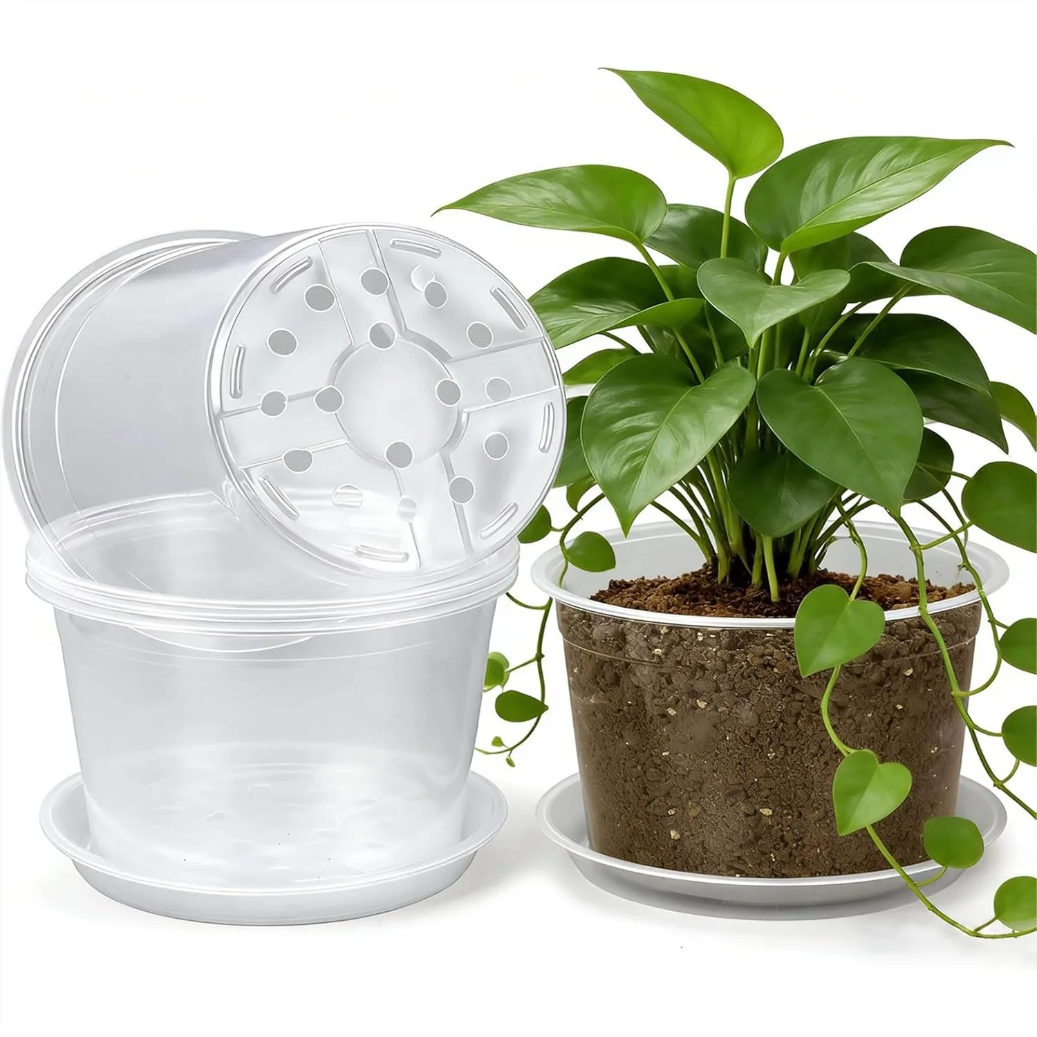 12 inch Clear Nursery Pots with Drainage and Saucers, 4 Pack Plastic Planters for Indoor Outdoor, Large Transparent Flower Pots
12 inch Clear Nursery Pots with Drainage and Saucers, 4 Pack Plastic Planters for Indoor Outdoor, Large Transparent Flower Pots