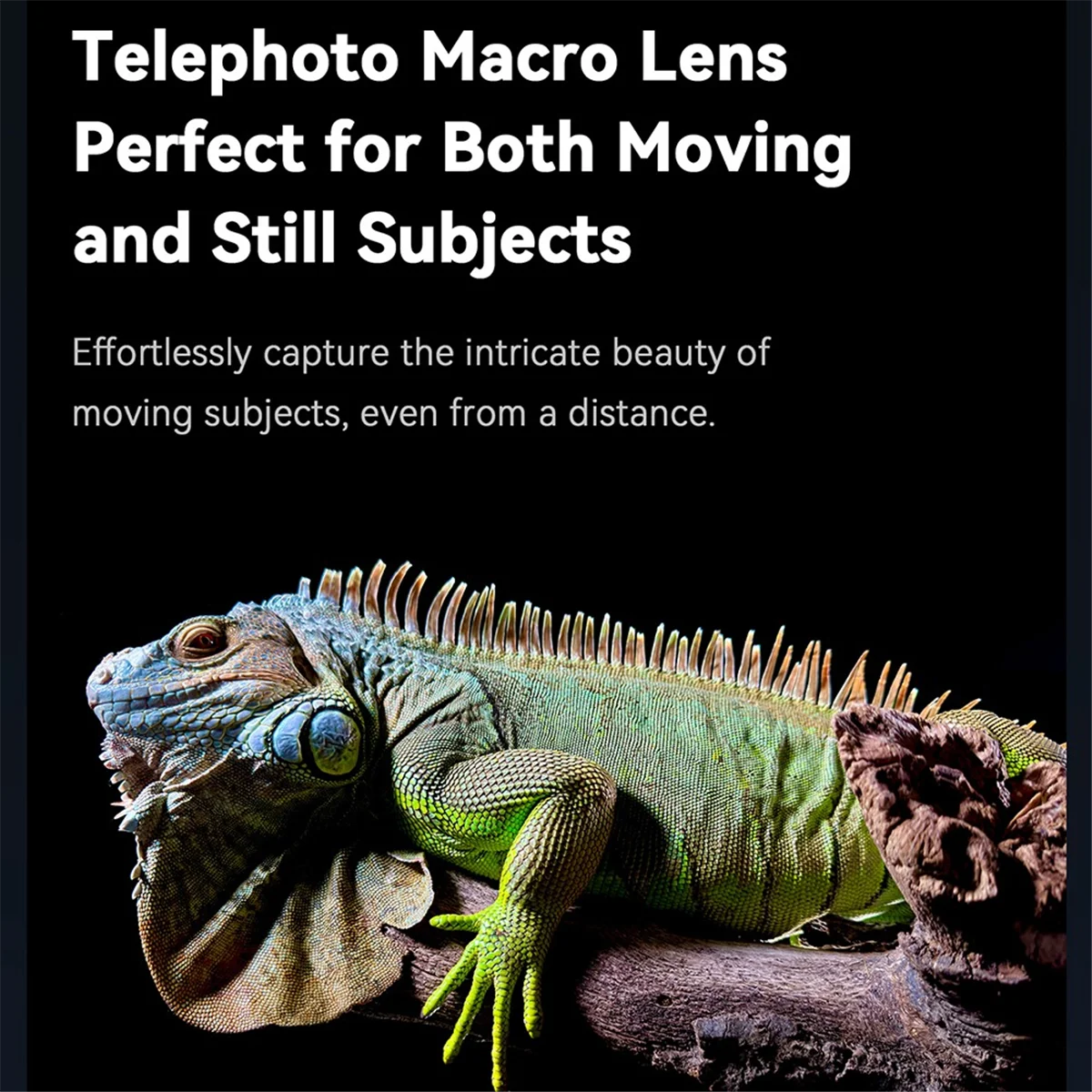 ARY-fMobile Phone Telephoto Macro Lens Kit 6X Telephoto Lens+150mm Macro Lens for IPhone 16/15/14 with Universal Phone
ARY-fMobile Phone Telephoto Macro Lens Kit 6X Telephoto Lens+150mm Macro Lens for IPhone 16/15/14 with Universal Phone