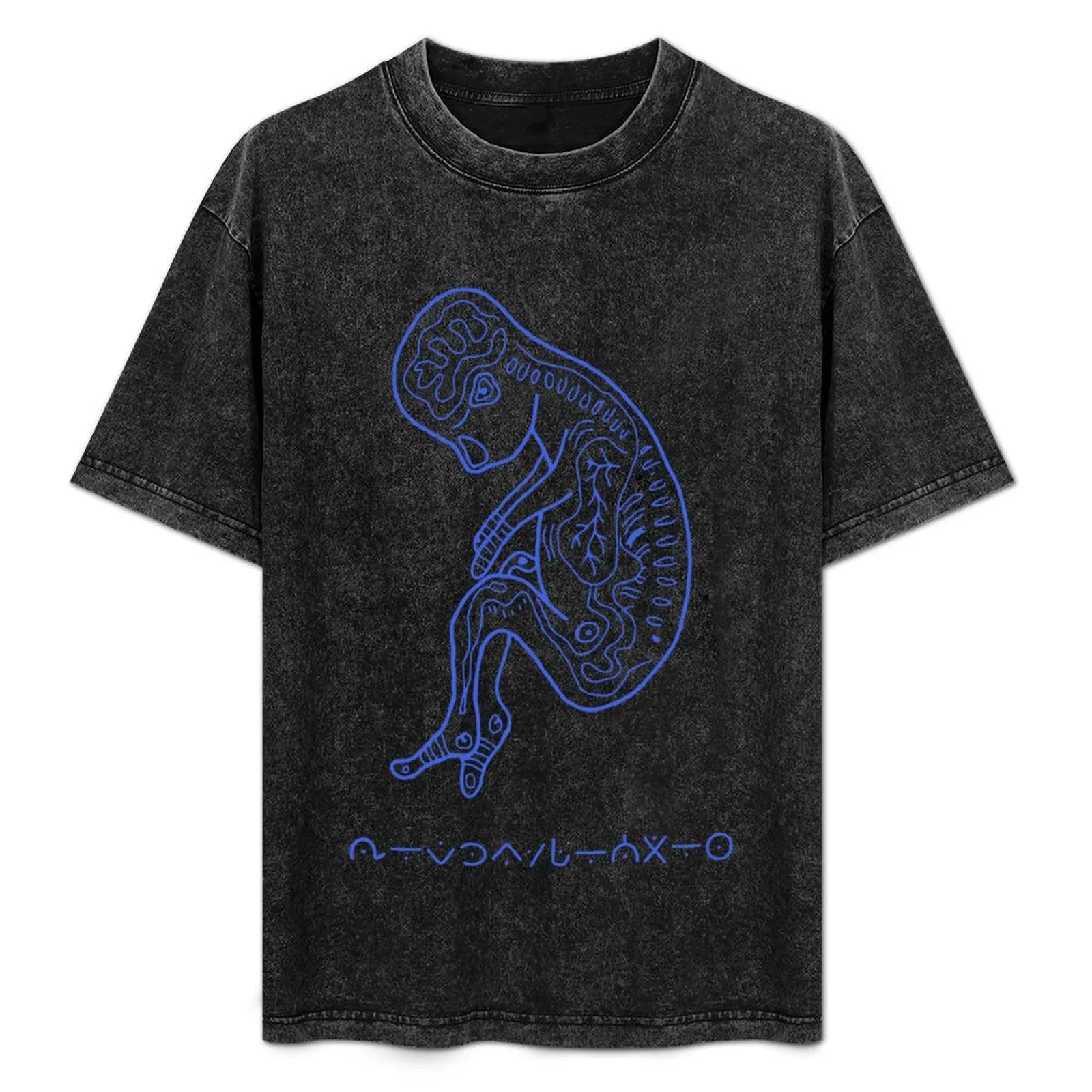 Aurora Aksnes IOADK Coming For You Blue T-Shirt Vintage Style Printed Top
Aurora Aksnes IOADK Coming For You Blue T-Shirt Vintage Style Printed Top
