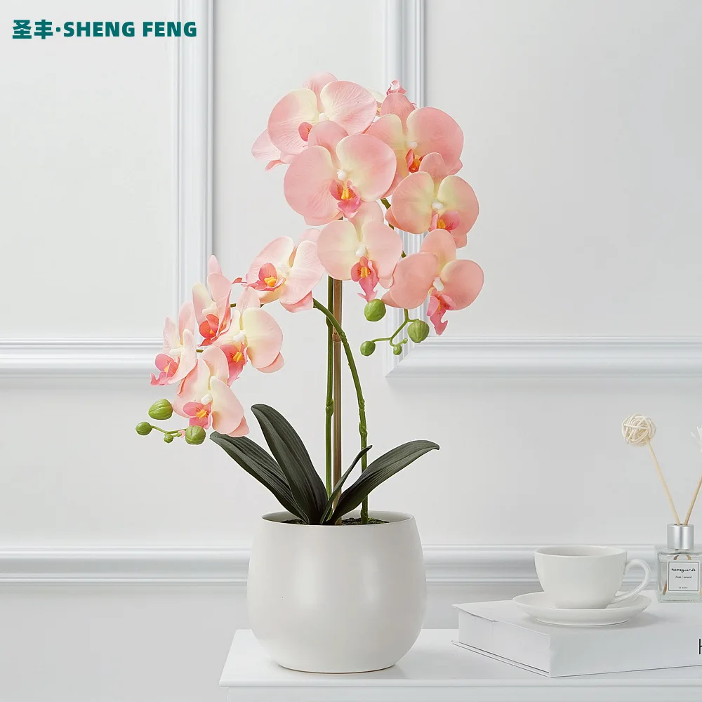 45cm Silk Cloth Phalaenopsis Artificial Flower Bonsai Suit Creative Glue Silk Flower Ceramic Vase Living Room Decoration Fake Fl
45cm Silk Cloth Phalaenopsis Artificial Flower Bonsai Suit Creative Glue Silk Flower Ceramic Vase Living Room Decoration Fake Fl