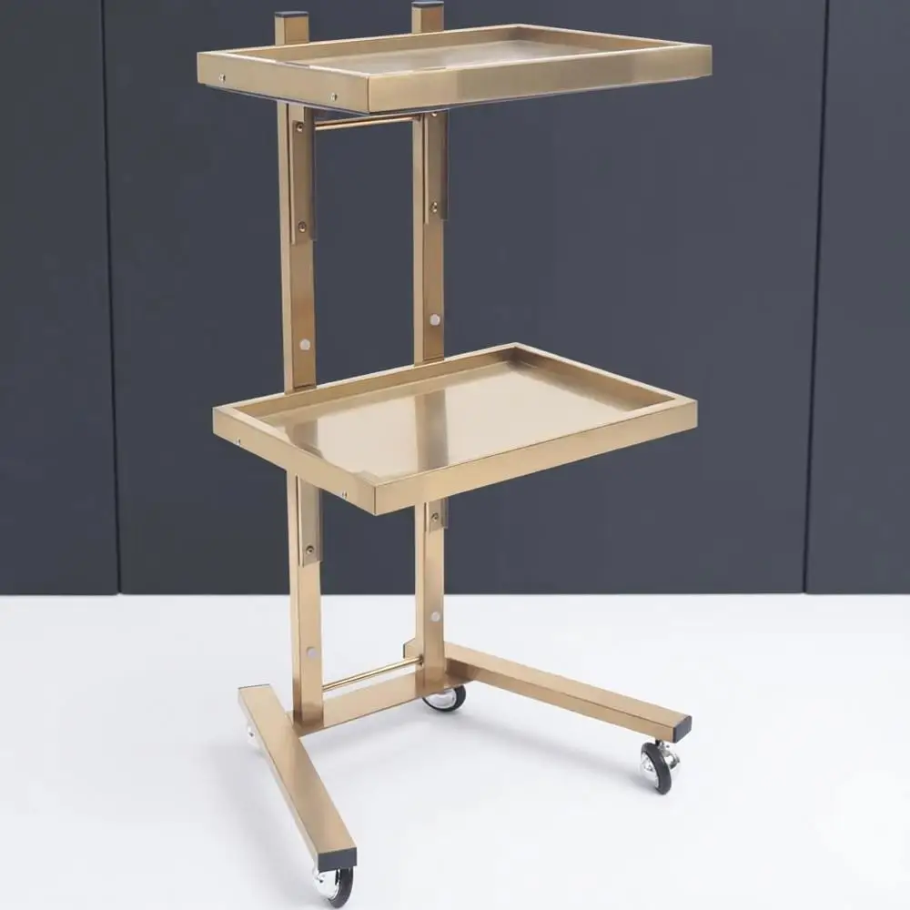 2-Tier Rolling Tray Trolley with 4-Wheels, Utility Storage Shelves and Service Tray in Stainless Steel (Gold)
2-Tier Rolling Tray Trolley with 4-Wheels, Utility Storage Shelves and Service Tray in Stainless Steel (Gold)