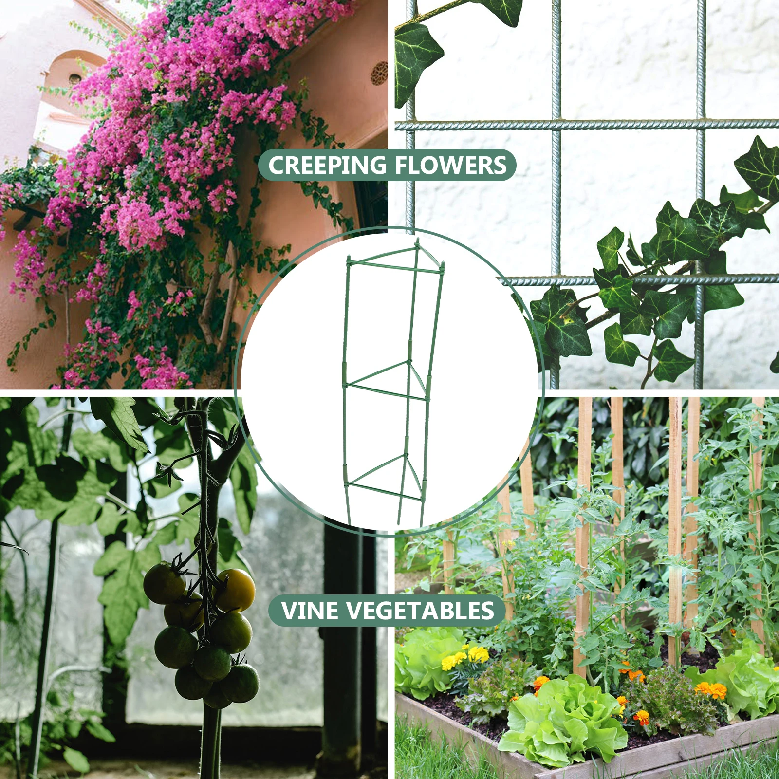 1pcs Climbing Plant Trellis Iron Tomato Cage for Garden Peas Roses Morning Glories Support Poles Vegetable Plants Passion Fruit
1pcs Climbing Plant Trellis Iron Tomato Cage for Garden Peas Roses Morning Glories Support Poles Vegetable Plants Passion Fruit