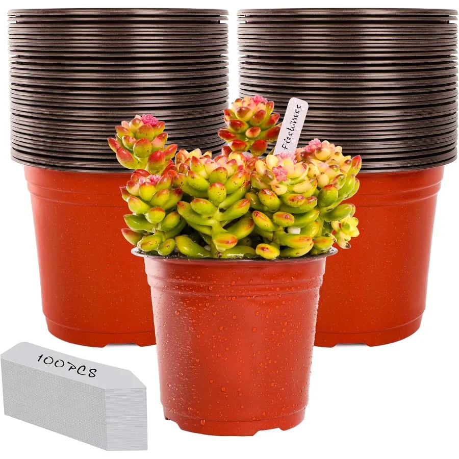 6 Inch Plastic Plant Nursery Pots 100pcs Pots and 100pcs Plant Labels Seedling Flower Plant Container (Red) Seed Starting Pots
6 Inch Plastic Plant Nursery Pots 100pcs Pots and 100pcs Plant Labels Seedling Flower Plant Container (Red) Seed Starting Pots
