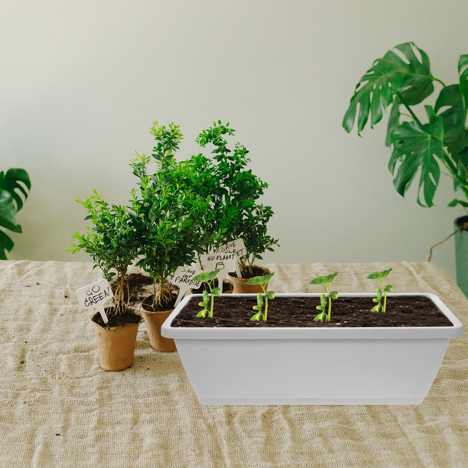 4 Sets 43cm Medium Gray Vegetable Planting Pot Tray Bottom Bracket Resin Plastic Windowsill Planter Box Garden Supply Flower
4 Sets 43cm Medium Gray Vegetable Planting Pot Tray Bottom Bracket Resin Plastic Windowsill Planter Box Garden Supply Flower