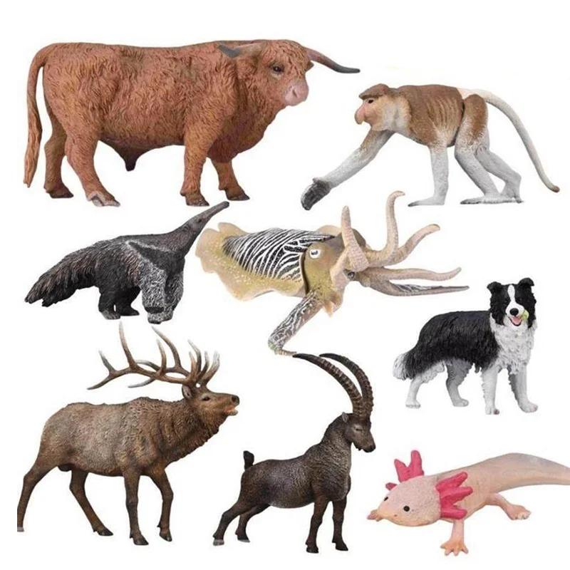 Collecta с высоким носом обезьяна антилопа муравье лошадь олень Хайленд корова кальмар имитация животного игрушка модель подарки для мальчиков и девочек
Collecta с высоким носом обезьяна антилопа муравье лошадь олень Хайленд корова кальмар имитация животного игрушка модель подарки для мальчиков и девочек