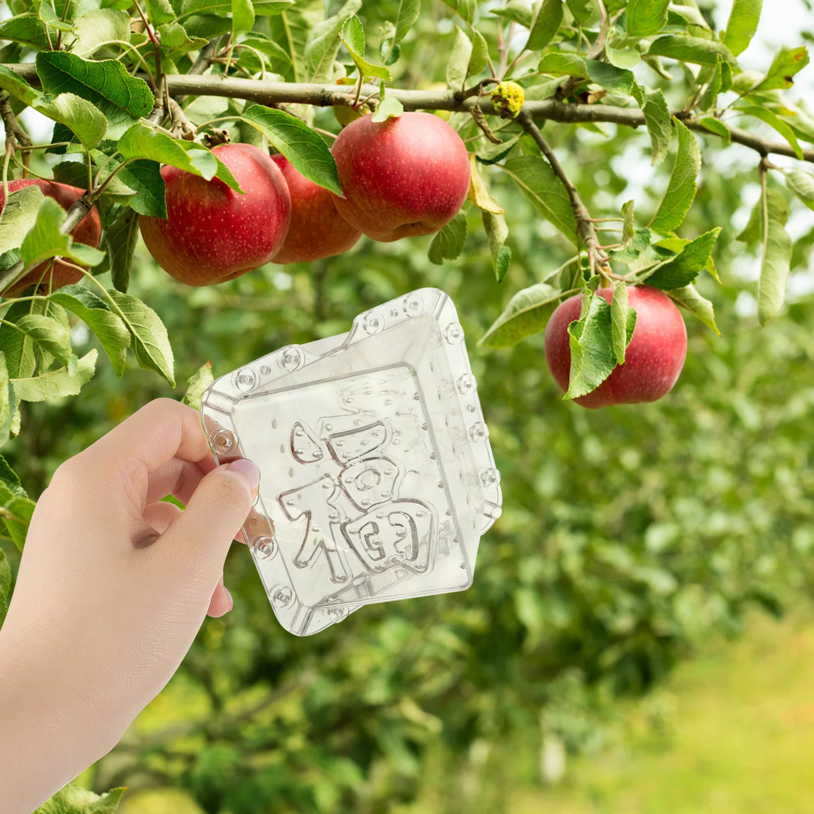 2Pcs Fruit Growing Shaper Mold Set for Melon and Ginseng Fruit Square Shape Mold Garden Vegetable Forming Tool Wear Resistant
2Pcs Fruit Growing Shaper Mold Set for Melon and Ginseng Fruit Square Shape Mold Garden Vegetable Forming Tool Wear Resistant