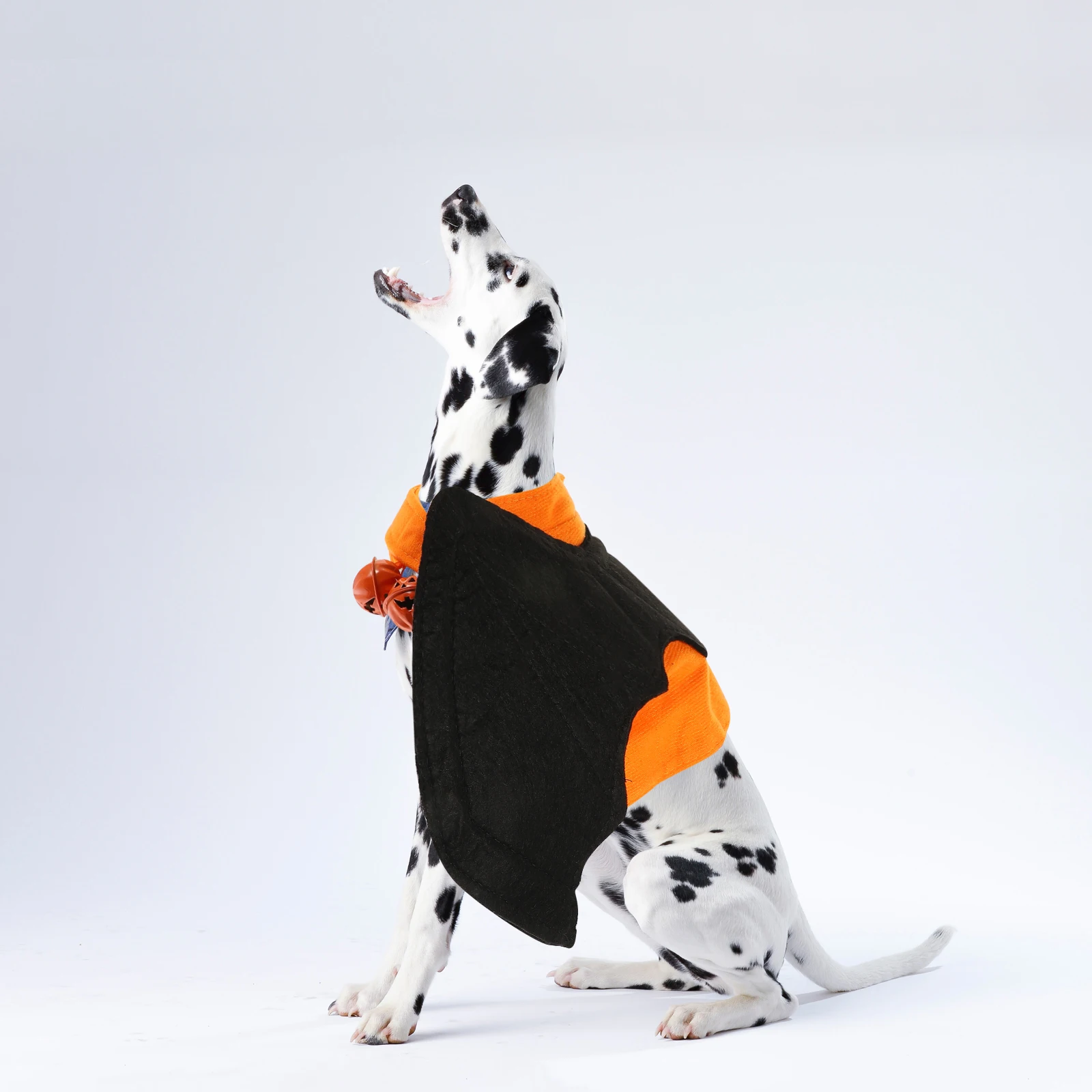 Halloween Bat Dog Costume Batsuit Costumes Funny Cosplay Clothes Suits Cute Orange
Halloween Bat Dog Costume Batsuit Costumes Funny Cosplay Clothes Suits Cute Orange