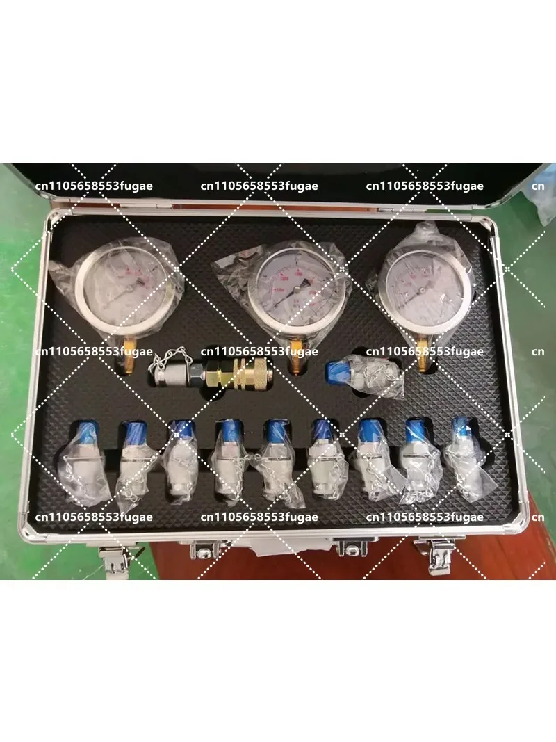 Pressure Gauge Test Kit Hydraulic Measurement Toolbox for Hydraulic Machinery
Pressure Gauge Test Kit Hydraulic Measurement Toolbox for Hydraulic Machinery
