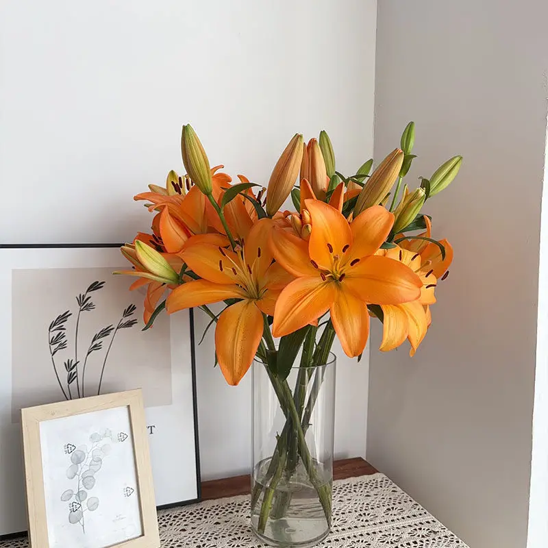 Fresh cut lily flower fragrance-free family water raising
Fresh cut lily flower fragrance-free family water raising