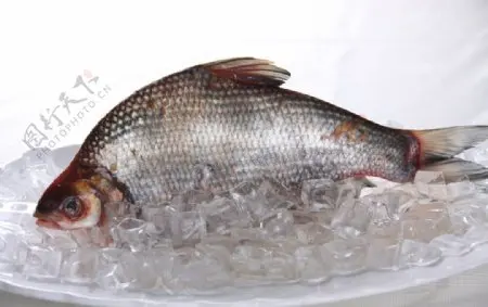 Металлическое обновление радиоуправляемого автомобиля, передняя рулевая группа, фиксирующие детали тяги, пригодные для MJX 1/14 14211, автомобиль с дистанционным управлением 
Металлическое обновление радиоуправляемого автомобиля, передняя рулевая группа, фиксирующие детали тяги, пригодные для MJX 1/14 14211, автомобиль с дистанционным управлением