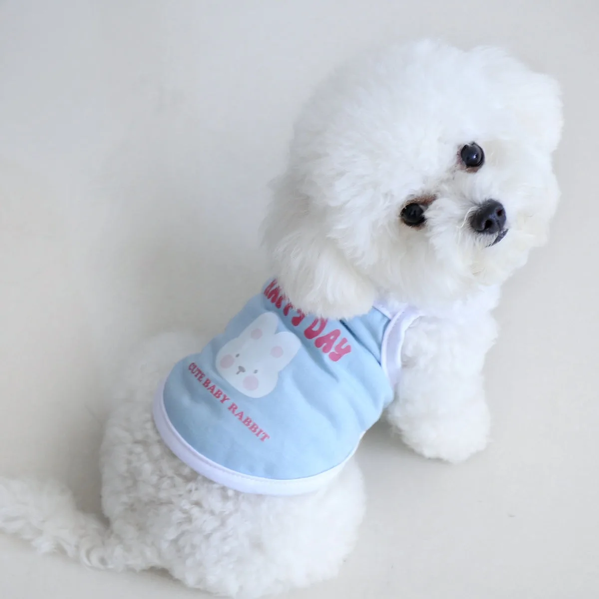Short Dog Clothes Thin Teddy Macaroon Color Camisole Vest Type Small Dog Summer Pullover Letter Print Pet Supplies
Short Dog Clothes Thin Teddy Macaroon Color Camisole Vest Type Small Dog Summer Pullover Letter Print Pet Supplies