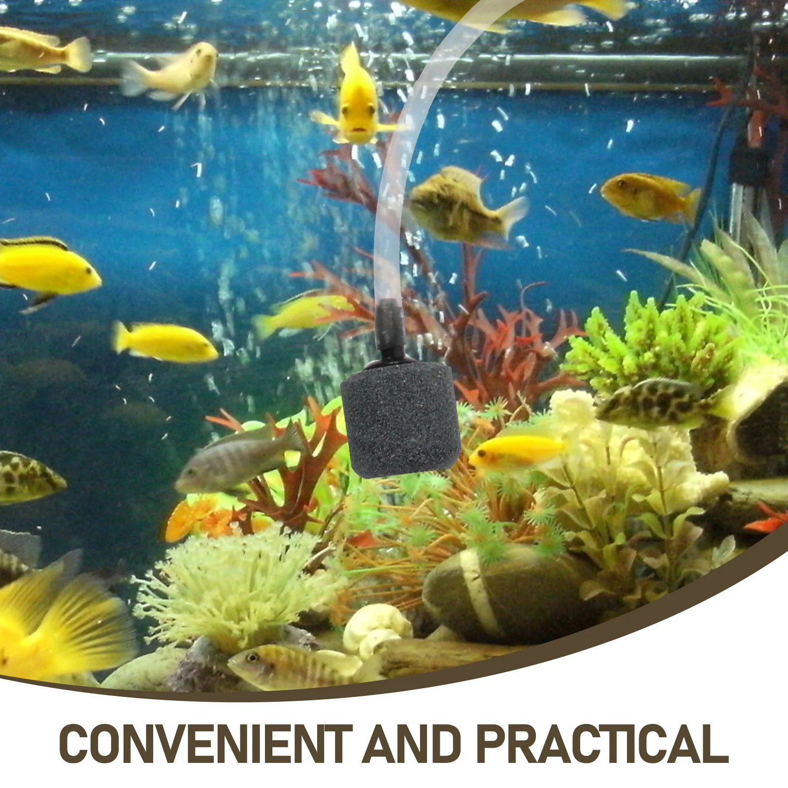 Oxygen Pump Fish Tank Air Accessories Aquarium Water Usb Quiet Submersible Portable
Oxygen Pump Fish Tank Air Accessories Aquarium Water Usb Quiet Submersible Portable