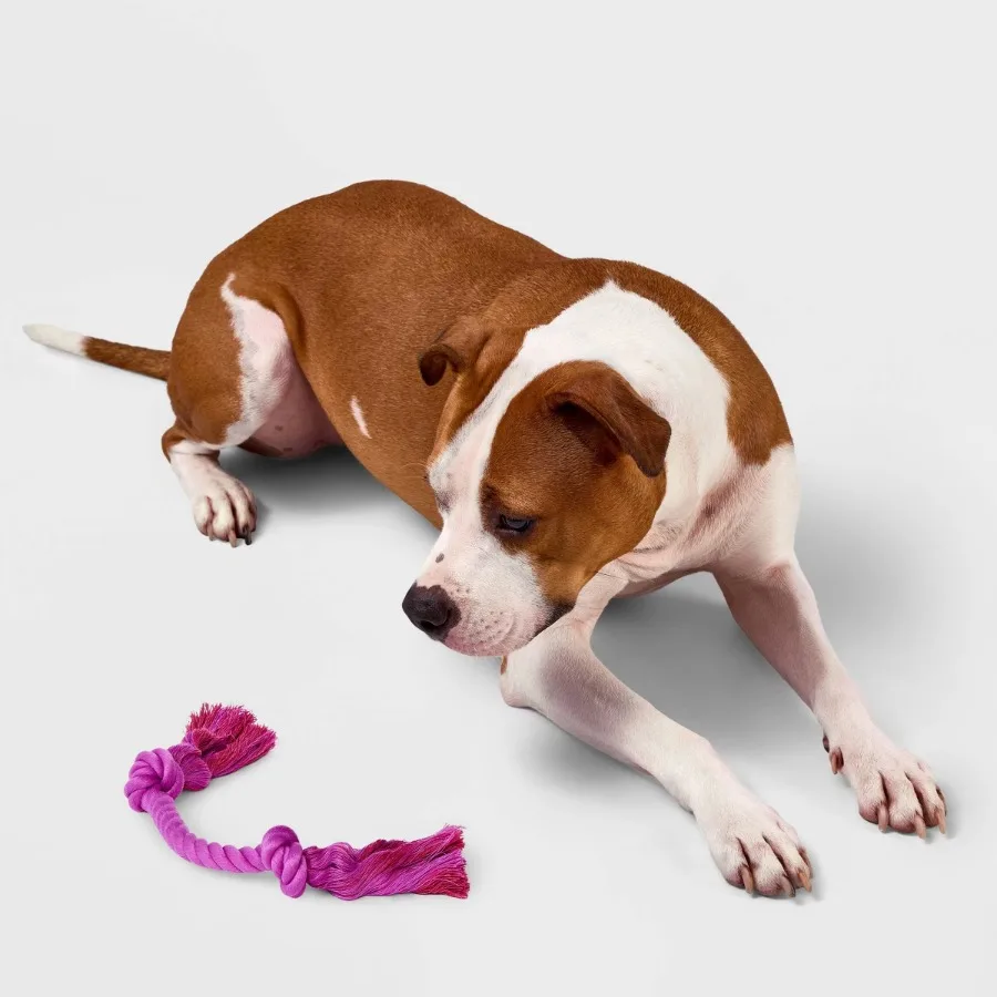 10" Mini Rope Dog Toy
10" Mini Rope Dog Toy